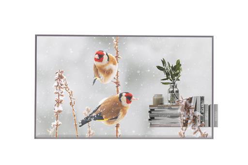 LG 55EW5P-M 