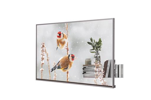 LG 55EW5P-M 