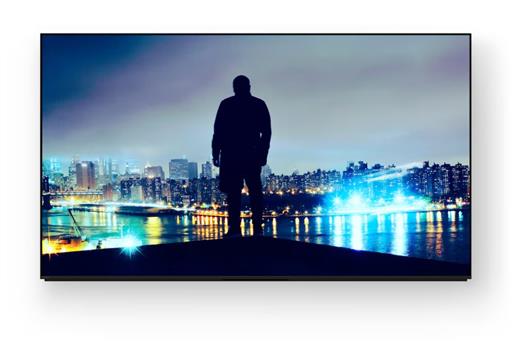 Sony FWD-55XR8M2 
