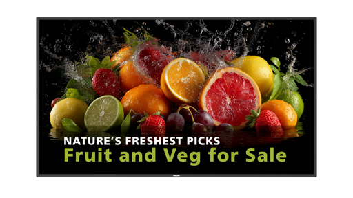 Philips 55BDL5050D/00 